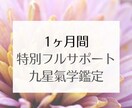 氣学でフルサポート鑑定します 1カ月間まるごと寄り添う特別プラン イメージ1