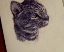 かわいいペット描きます ペットとの思い出にいかがですか？ イメージ1