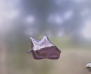 誰とも被らないかわいいいきものたちをつくります ふわふわとただようようなキャラクターたち イメージ2