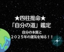 ２０２５年四柱推命の鑑定書をつくります ２０２５年の運気を知り、運気の波に乗りましょう！ イメージ1