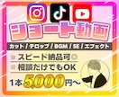 丸投げ | SNSショート動画を編集します TikTok,Instagram,YouTubeなど各SNS イメージ1