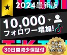 TikTokフォロワー10000人増加させます コスパ◎！安く高品質なフォロワーをあなたにご提供 イメージ1