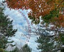 癒される景色の写真を販売します 美しい景色や自然やお花がメインです イメージ6