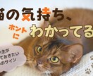 こんな感じ！をカタチにします 想いが伝わるYoutubeサムネイルを制作します イメージ6