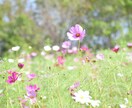 少しでもいいから誰かと話したい人などお待ちしてます どなたでも何となくでも大歓迎♡ イメージ4