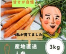 ほっこり似顔絵お描きします 生産者様のやさしいお顔のイラストを製作致します。 イメージ3