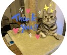プログラミング(R)教えます カユい所に手が届く情報を提供いたします。 イメージ1