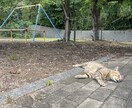 仕事や人間関係がつらい、不安な気持ちに寄り添います 職場の人間関係□仕事□愚痴□行きたくない朝 イメージ3