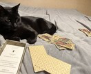 恋愛の悩みに寄り添いタロットで導きます 相手の本音とこれからを視ます。 イメージ3