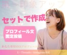 SNSプロフィールを作成します プロフィール・固定投稿をまとめて作成します イメージ2