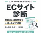 ECサイトを診断し改善策をレポートでご提案します 購入導線・商品ページを確認し、改善の優先順位を整理 イメージ1