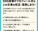 SNS初心者向け投稿テンプレ作ります SNSが苦手な方を全力サポートします イメージ1