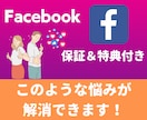Facebookの日本人フォロワー集客します ◎補償期間あり！ぜひ内容をご確認ください！ イメージ6