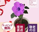 切り抜き・白背景・文字入れなど、画像加工いたします 修正無制限/現役レタッチャーが対応いたします イメージ3