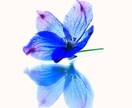 あなたの愚痴や悩みをお聞きします 日々、ストレスを感じているあなたへ イメージ1