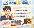 職務経歴書や面接対策等、転職を徹底サポートします 書類通過率UP｜採用担当の視点から転職活動を徹底サポート イメージ1