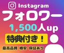 Instagram外国人フォロワーを増やします 【特典でいいね+1000】保証あり★オプションで再生数 イメージ1