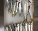 絶対に釣れるポイントをご紹介します 【初心者、入門者向け】釣れる場所をご紹介！ イメージ2