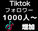 TikTokフォロワーを1000人増加します 即LIVE可能・URL貼付可能に！保証有・増えるまで拡散！ イメージ1