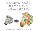 カラフルな「動物の顔」イラスト制作致します 【無料背景付き】プレゼント・アイコン・年賀状・グッズ用などに イメージ2