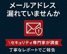 メールアドレスの漏洩情報を調べます セキュリティの専門家による、メールアドレス漏洩調査サービス イメージ1