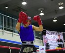 キックボクシングのトレーニングを行います キックボクシングで健康で強い身体を身につけましょう！ イメージ1
