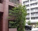 庭木の手入れについて、疑問や悩みを解決します 庭園の設計・施工・管理の業務を通じて、適切にアドバイスします イメージ3