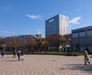何にもできない私ですが愚痴ききます 接客業をやってますので丁寧に話せます！ イメージ4