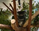 キャリアの事・日常の悩みもご相談に乗ります 若い年代の方に特化しています。 イメージ1