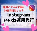運用のプロがInstagramいいね代行いたします ターゲットへ最短最速でアプローチ！無料コンサルの特典付き！ イメージ1