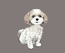写真から犬の似顔絵を描きます お気に入りの表情の「ワンちゃんの写真」から似顔絵を描きます イメージ9
