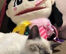 辛い寂しい嬉しい困った、などお話し聞きます あなたの大切な気持ち受け止めます イメージ4