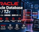 Oracle DBの構築・設定を支援しますます 11g・12c対応／Data Guard構築もご相談可能 イメージ1