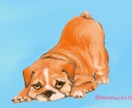 愛犬のイラスト描きます ＜個人・商用可＞リアル可愛い、グッズにしやすいイラストです イメージ6