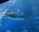 あなたにぴったりの旅行プランを作成します！ます 全国47都道府県日帰り〜2泊3日まで！観光グルメお任せあれ！ イメージ1