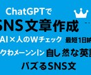 英語SNS文を自然に翻訳します たった一文で印象が変わるSNS文を！ イメージ1