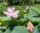 心の悩み相談　受付けます 一緒に考えて、解決しましょう✨ イメージ2
