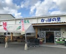 メダカを死なせない7原則を動画で教えます パワーポイントを使ってメダカを死なせない7原則動画で公開 イメージ5