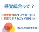 感覚統合の遊びを専門的に教えます 作業療法士による専門的視点による感覚の専門支援お伝えします イメージ1