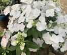 仕事や家事育児のお悩みをお聞きします あなたの生活の中で、少し休憩したいと思った時に是非‼️ イメージ2