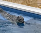 悩み相談承ります 愚痴ろうぜ。意見聞いちゃおうぜ イメージ2