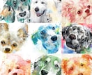 ペット愛犬の似顔絵、水彩風アートにデザインします プレゼント・記念日・遺影にも。ポスターやパネル納品も可能 イメージ4