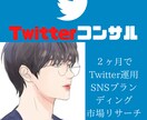 プロがTwitterマーケティングのコンサルします 2ヶ月SNSコンサル・Twitterコンサル・SNSコンサル イメージ1
