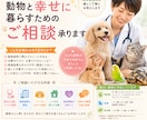 動物と✨幸せに✨暮らすための相談承ります 現役獣医師が、動物との暮らしのお悩みに優しく寄り添います イメージ1