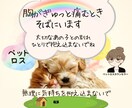 愛するペットとの辛い別れ！お話聴きます 愛犬との別れからペットロス専門カウンセラーになった私に話して イメージ2