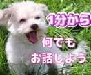 1分からお話お聞きします 愚痴恋愛仕事悩み楽しく会話どんなお話も1分からお聞きします イメージ1