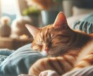 初回限定価格｜ペットを丁寧にヒーリングいたします 大切なペットに元気でいてほしい飼い主様のためのサービスです イメージ2