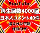 YouTube再生回数＆日本人コメントを増やします 再生回数+4000回＆日本人コメント+40件➡4,000円✨ イメージ6