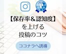 ココナラ販売者のためのインスタ集客法を伝授します 素人でもインスタ１万人超え★インスタを活用し売上に繋げる方法 イメージ2