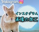 インスタ投稿画像の加工・文字入れします 投稿に統一性をもたせてフォロワーアップ目指します！ イメージ1
